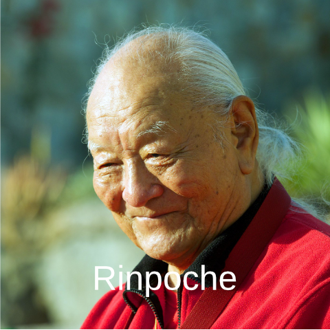 Chögyal Namkhai Norbu is the spiritual teacher who founded the International Dzogchen Community